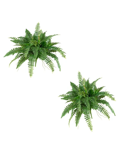 Slickblue Set of 2 Boston Ferns – Lush Indoor Plants for Elegant Home Decor