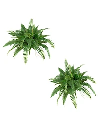 Slickblue Set of 2 Boston Ferns – Lush Indoor Plants for Elegant Home Decor