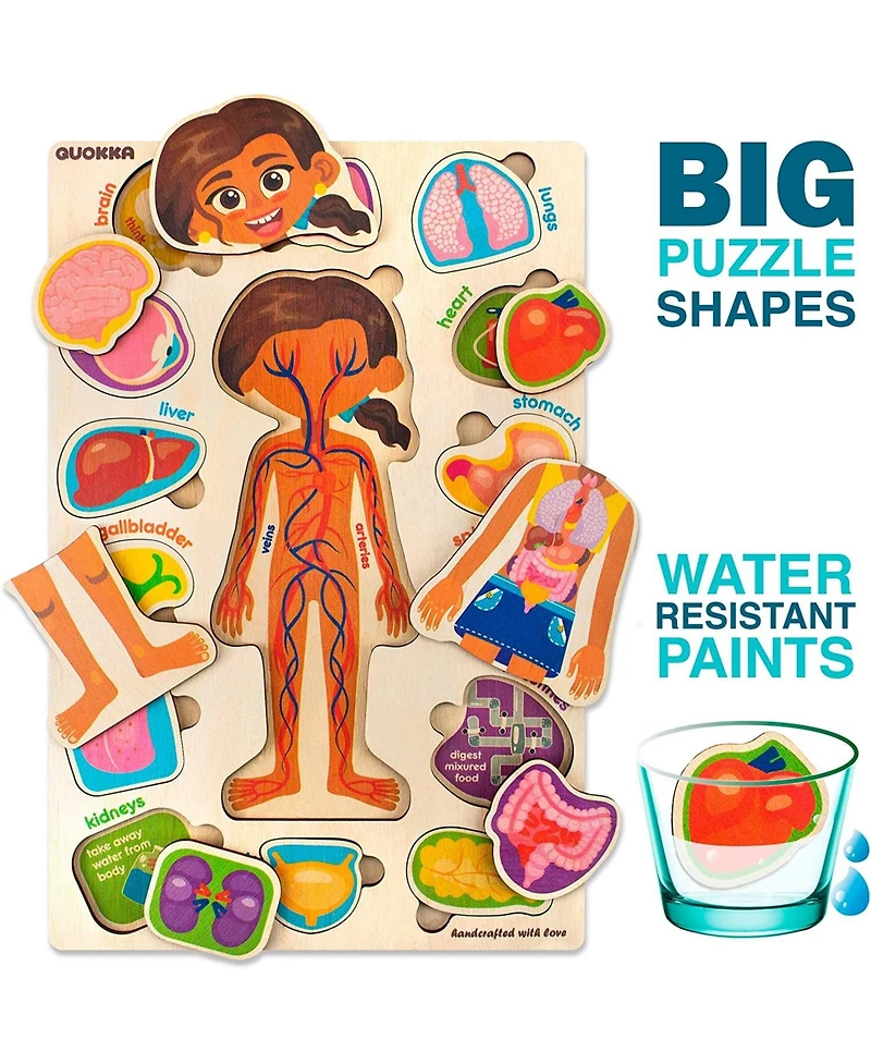 Quokka Wooden Montessori Puzzles for Kids Ages 4-6 – Human Anatomy