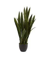 Slickblue Sansevieria Plant in Sleek Black Planter Modern Indoor Decor