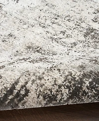 Nourison Home Desire DSR05 3'11"x5'11" Area Rug