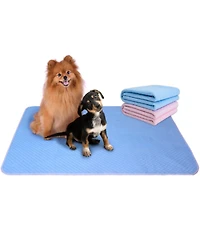 NeatoTek 100% Waterproof Washable pads for Dogs: Xl 2-Pack, Extra Absorbent, Non-Slip