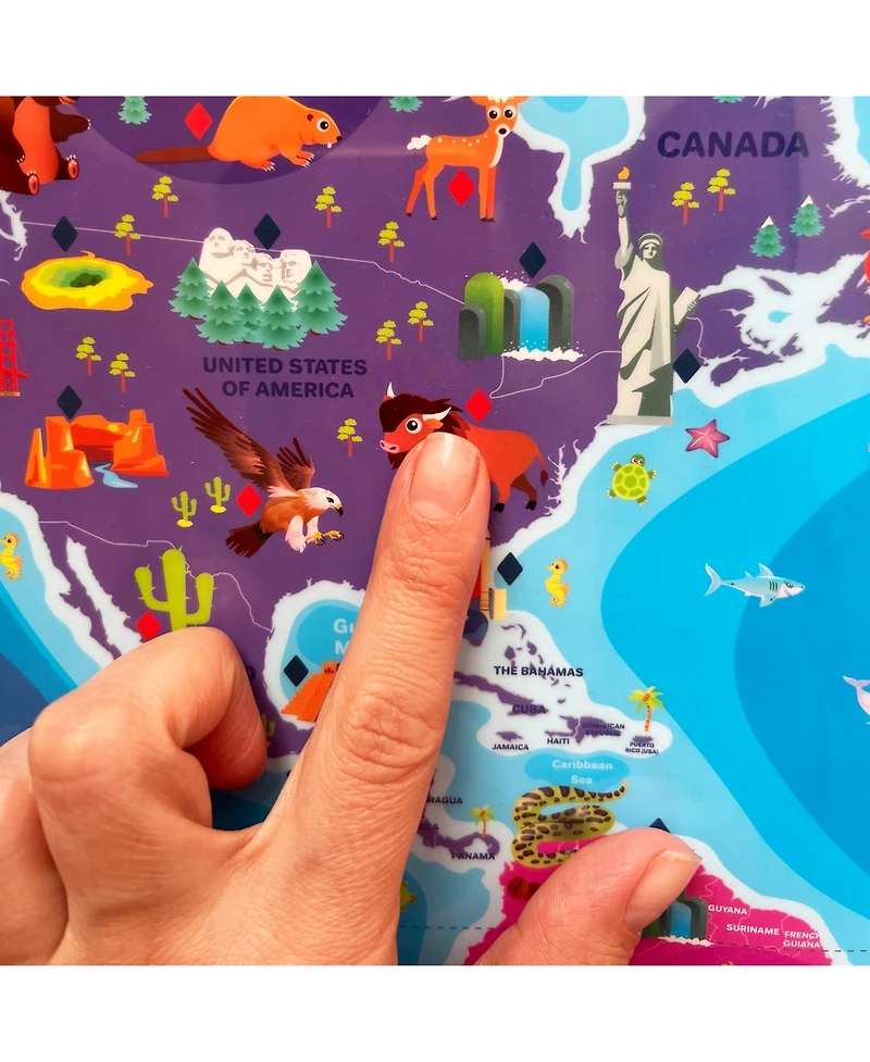 Quokka Educational Interactive Poster for Toddlers 3-5