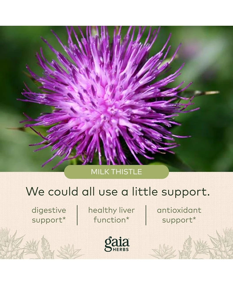 Gaia Herbs Milk Thistle Seed - Liver Supplement & Cleanse Support for Maintaining Healthy Liver Function - With Milk Thistle Seed Extract