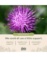 Gaia Herbs Milk Thistle Seed - Liver Supplement & Cleanse Support for Maintaining Healthy Liver Function - With Milk Thistle Seed Extract
