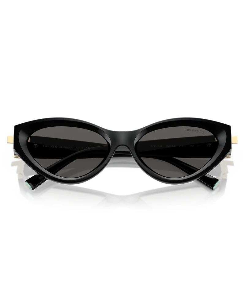 Tiffany & Co. Women's Sunglasses TF4225U