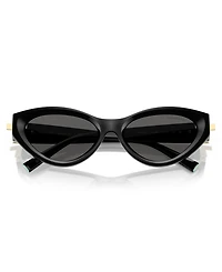 Tiffany & Co. Women's Sunglasses TF4225U