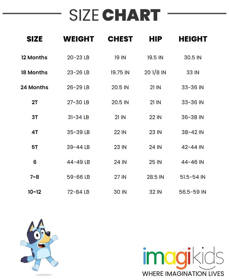 Bluey Little Girls Bingo Skater Dress and Scrunchie