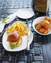 Fortessa Playa Melamine Dinnerware Collection