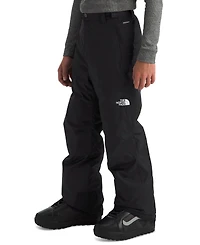 The North Face Big Boys Freedom Insulated Pants
