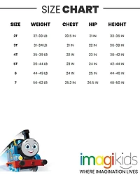 Thomas & Friends Toddler Boys T-Shirt and Mesh Shorts Outfit Set