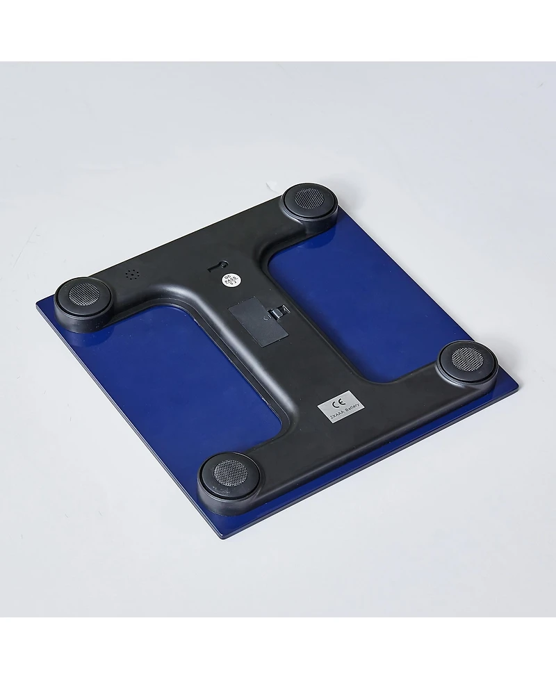 Talking Bathroom Scale