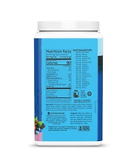 Warrior Blend Protein, Plant-Based Organic Protein Powder, Berry, Sunwarrior, 750gm