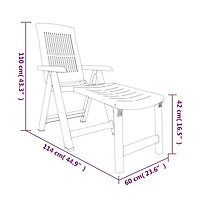vidaXL Sun Lounger Anthracite Plastic