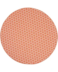 Nourison Home Twist Reversible TWS01 8'x8' Round Area Rug
