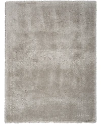 Nourison Home Dreamy Shag DRS05 4'x6' Area Rug
