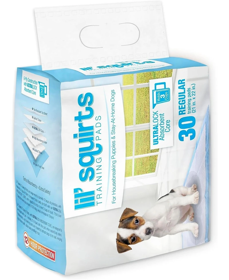 Ruffin' It Lil Squirts: Training Pads