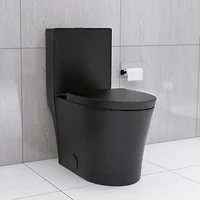 Streamdale Matte Black Dual Flush Elongated Toilet, 1000g Map