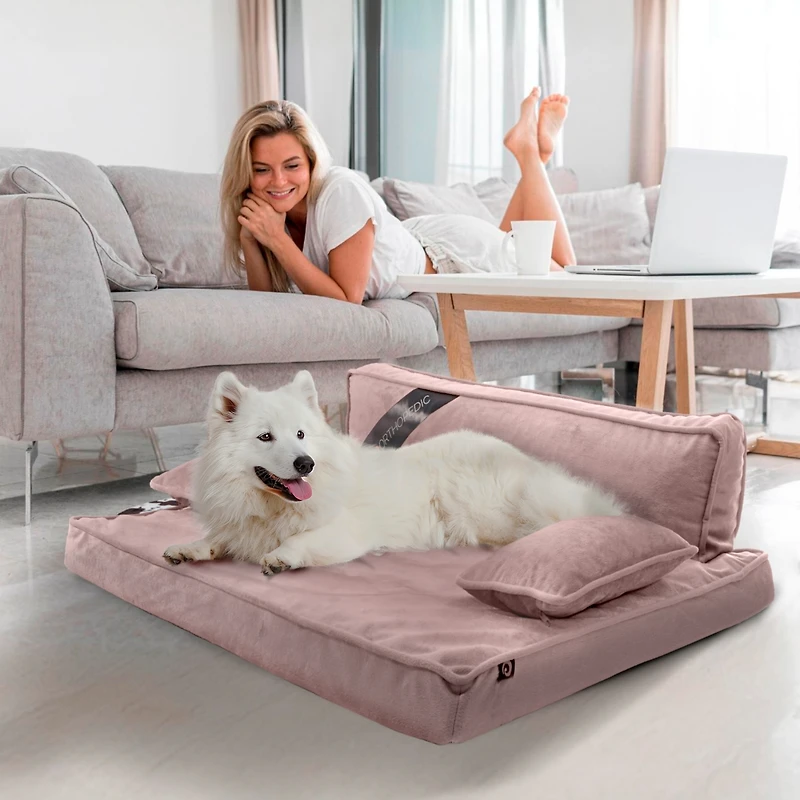 Precious Tails Orthopedic Pet Bed, Stylish Beds for Cats and Dogs, Modern Sofa Couch for Small-Medium Dog