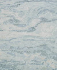 Exquisite Rugs Saccara 6806 8'x10' Area Rug