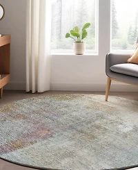 Dalyn Trevi Washable TV12 8'x8' Round Area Rug