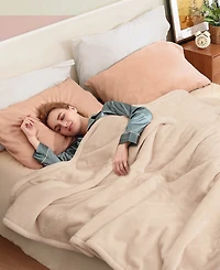 Sealy Heated Flannel Blanket