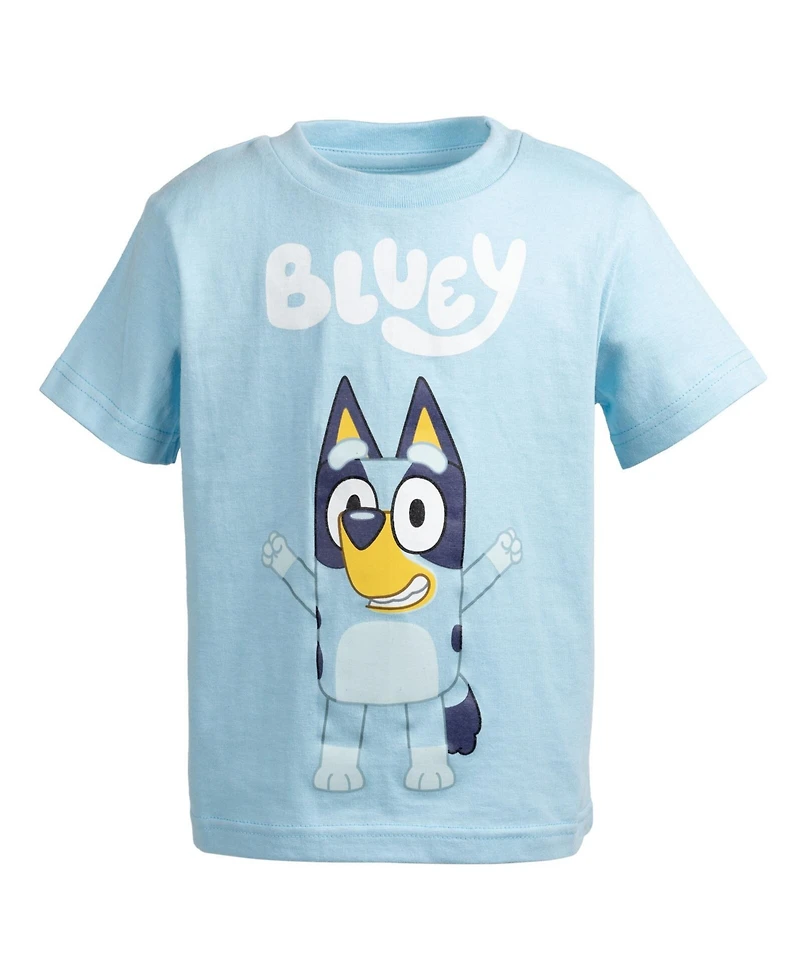 Bluey Toddler Boys Matching Family T-Shirt to (2T - 18-20)