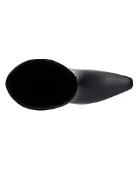 Women's Carlotta Pointed Toe Tall Boot