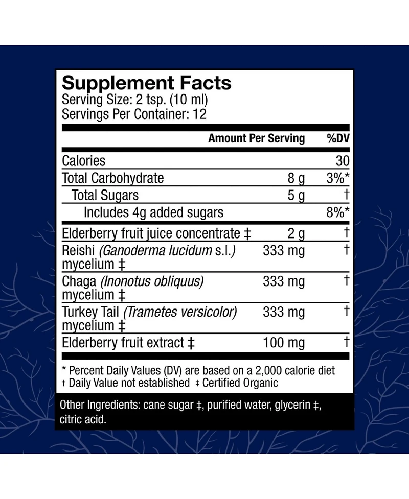 Host Defense Elderberry Plus Syrup - Immune & Respiratory Supplement - Liquid Mushroom Supplement with Turkey Tail, Reishi, Agarikon & Chaga