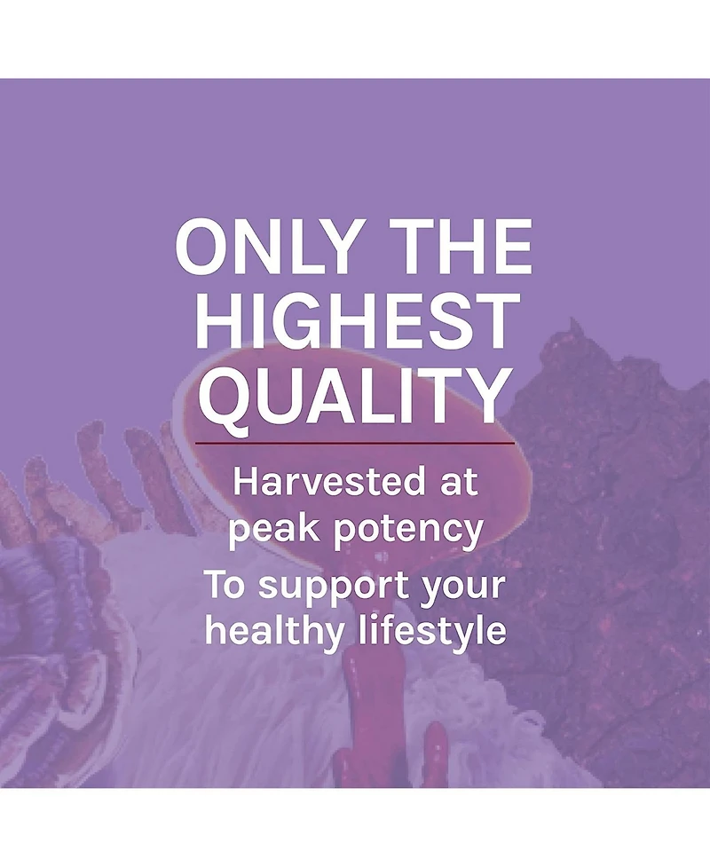 Host Defense Lion's Mane Extract - Brain Health Support Supplement - Mushroom Supplement to Support Focus & Memory Function