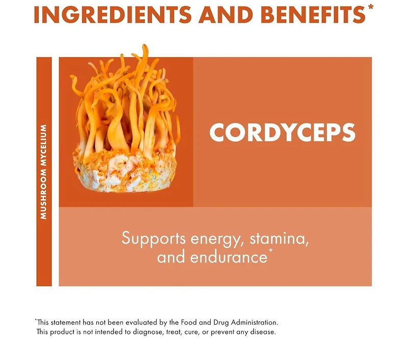 Host Defense Cordyceps Extract - Immune & Energy Support Supplement