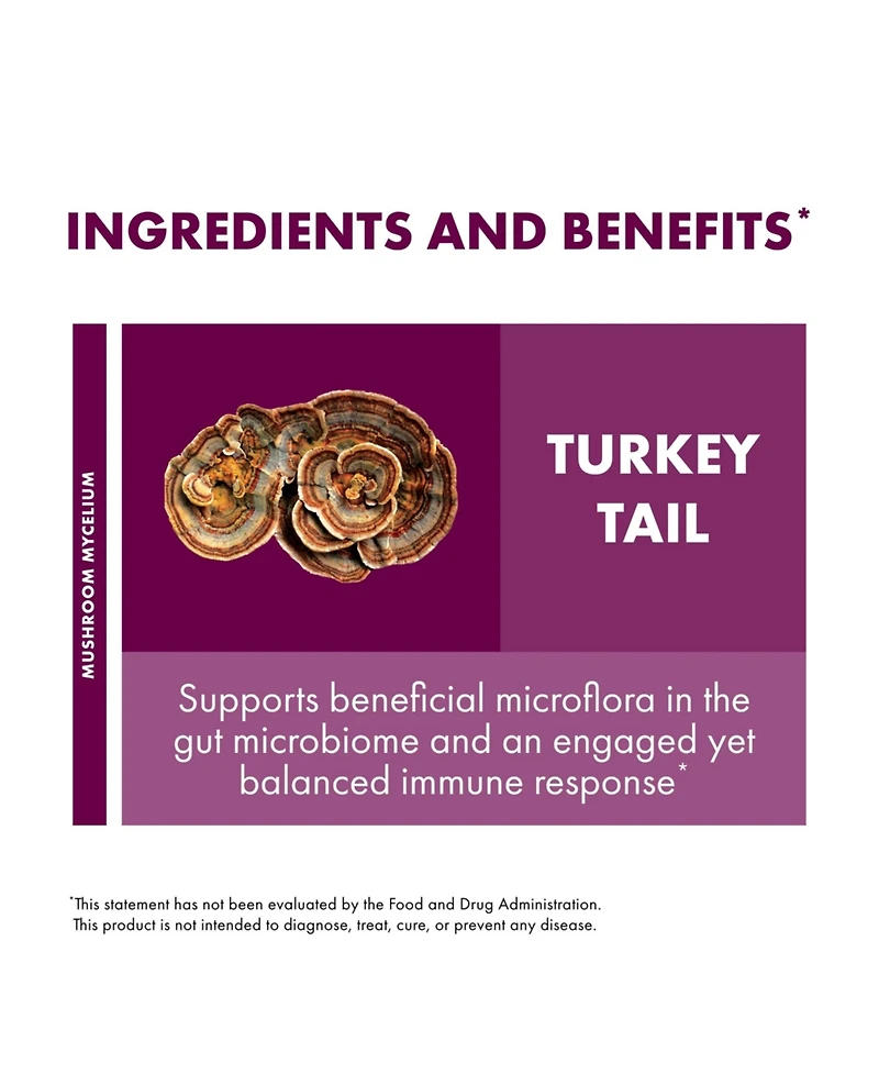 Host Defense Turkey Tail Extract - Digestive Health & Immune Response Support Supplement