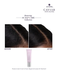 Alterna Renewing Scalp Care Peppermint Leave-On Treatment, 2.5 oz.