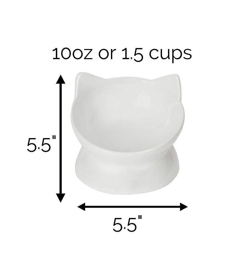 Park Life Designs Set of two Oscar Collection Tilted Rasied Cat Dishes