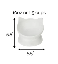 Park Life Designs Set of two Oscar Collection Tilted Rasied Cat Dishes