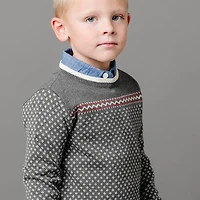 Hope & Henry Boys Organic Long Sleeve Intarsia Crew Neck Pullover Sweater