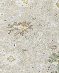Addison Chantille Machine Washable ACN1009 8'x10' Area Rug