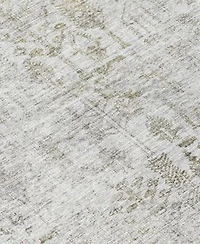 Addison Chantille Machine Washable Acn1092 Area Rug Collection