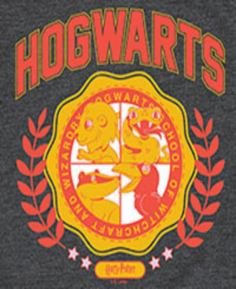 Harry Potter Big Boys Hogwarts Graphic Tee