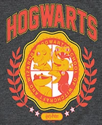 Harry Potter Big Boys Hogwarts Graphic Tee