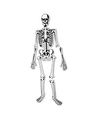 Learning Resources Skeleton Floor Puzzle, 15 Pieces
