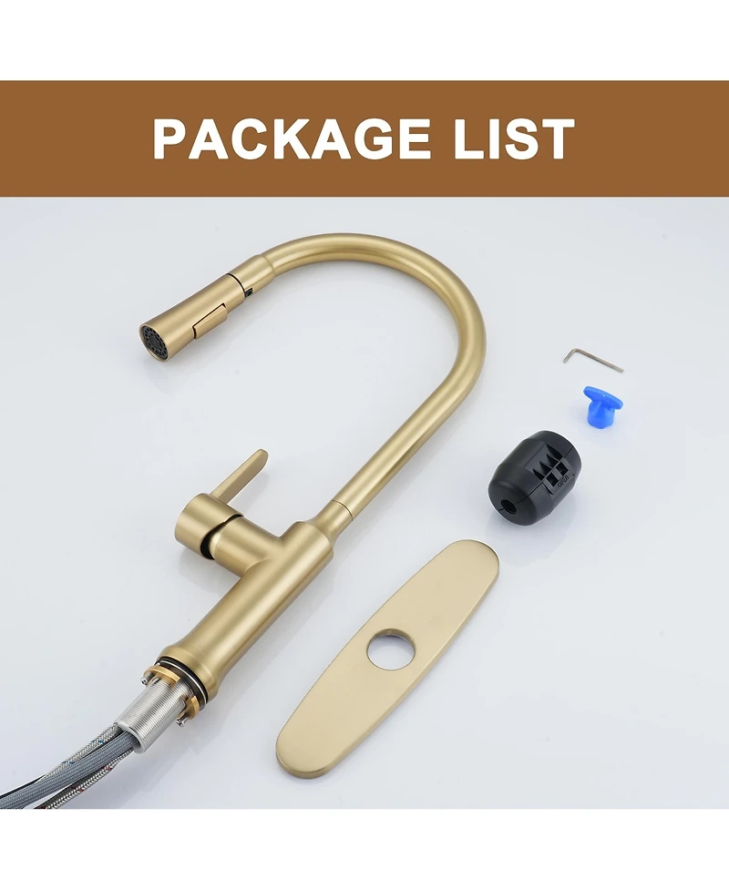 Casainc 1.8 Gpm Single-Handle Pull-Down Kitchen Faucet Single Hole