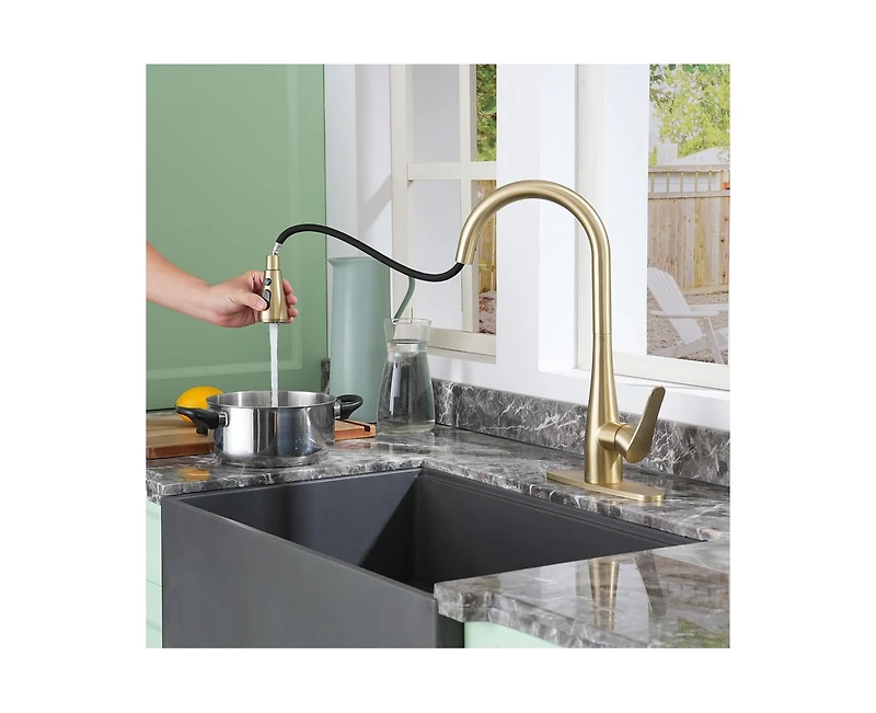 Casainc 1.8 Gpm Pull Down Kitchen Faucet with Deck Plate