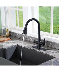 Casainc 1.8 Gpm Pull Down Kitchen Faucet with Deck Plate and Digital Display