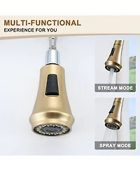 Casainc 1.8 Gpm Pull Down Kitchen Faucet with Deck Plate