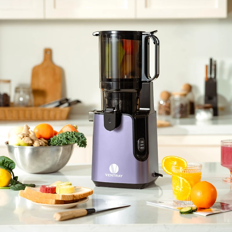 Cold Press Juicer, Masticating Juicer with 5.1 Inch Large Feed Chute, 250W Power High Juice Yield for Batch Juicing - Purple