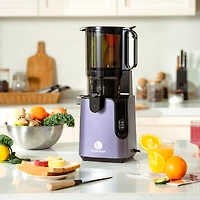Cold Press Juicer, Masticating Juicer with 5.1 Inch Large Feed Chute, 250W Power High Juice Yield for Batch Juicing - Purple