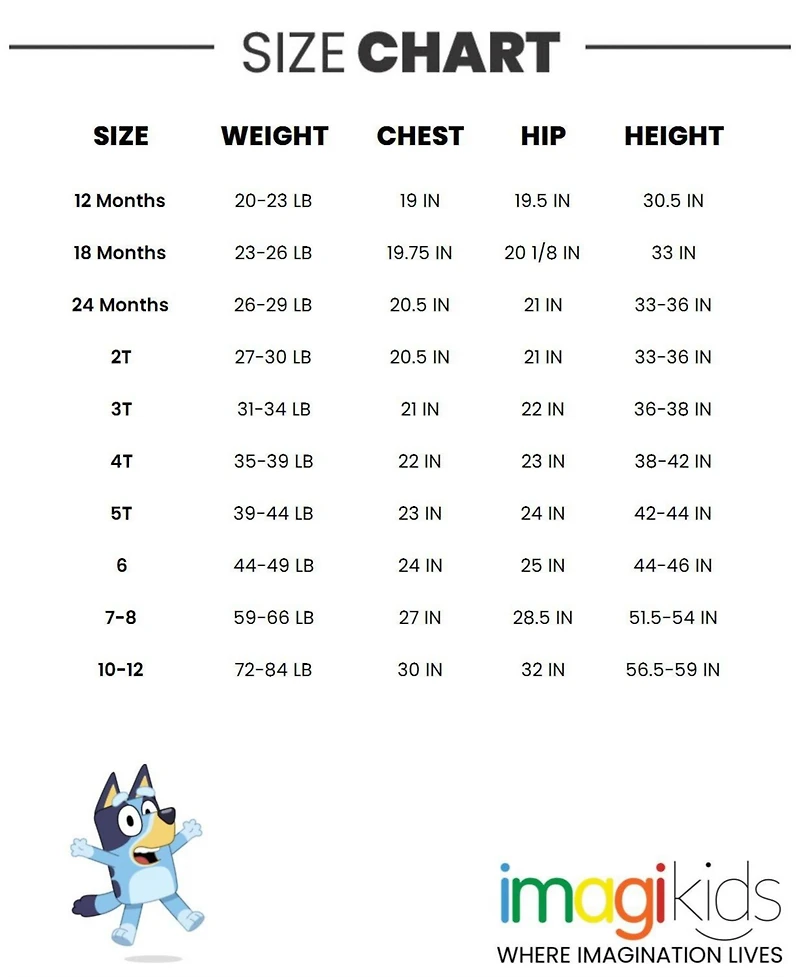 Bluey Bingo Sweatshirt Toddler| Child Girls