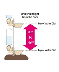 Richell Pet Water Rehydration Station: Water Stand