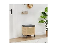 gaomon Shoe Storage Bench, Entryway Bench with Sorage Box, 2 in 1 Shoe Bench Set, Metal and Wood Shoe Rack Organizer Shelf with Cushion for Entryway